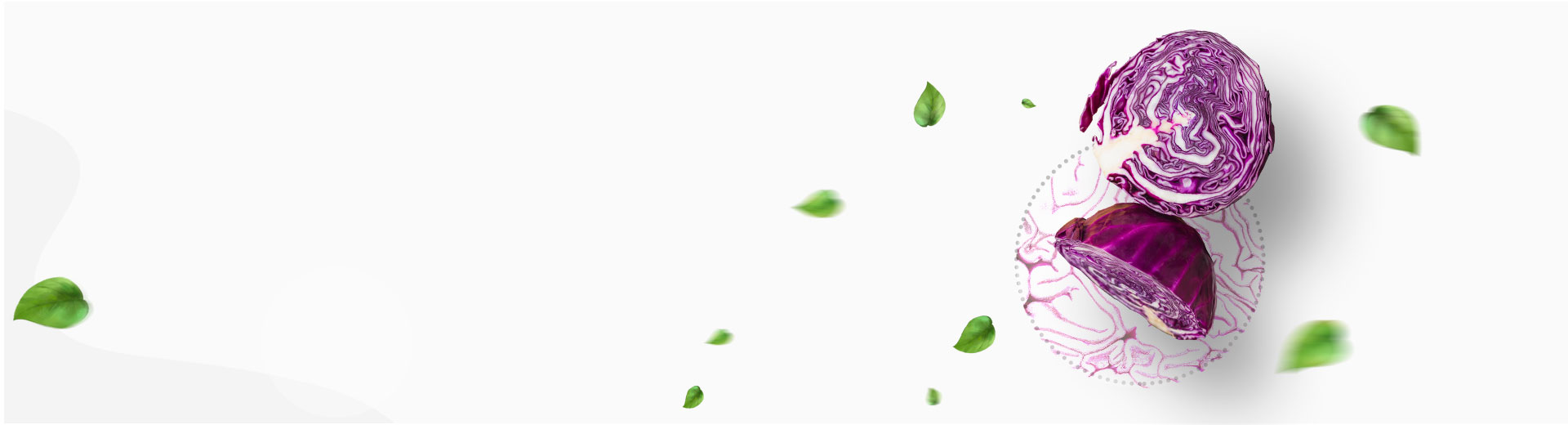 organic4-slider3.jpg