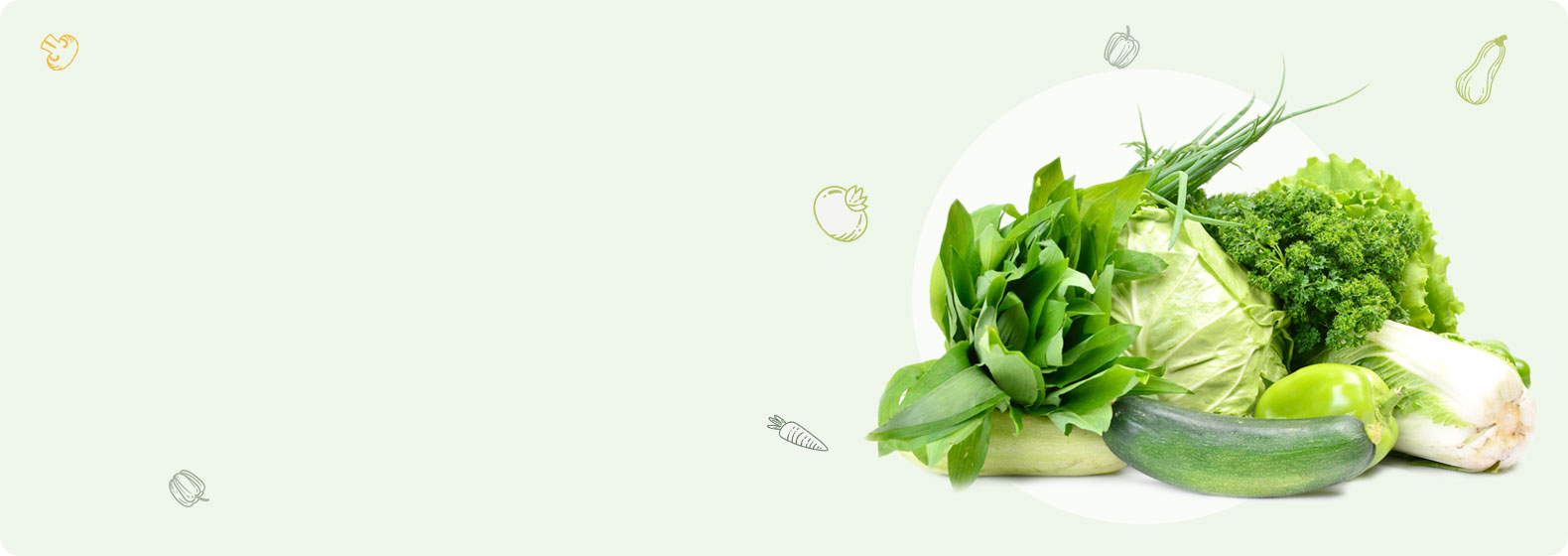 organic5-slider33.jpg