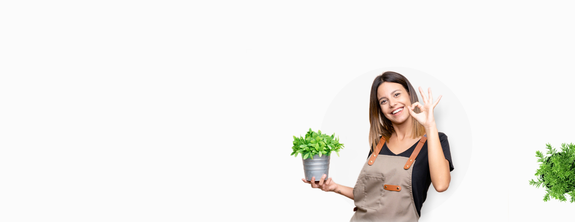 plant3-slider2.jpg